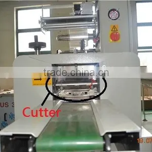 China Factory YB-350 Automatic Pillow Type Idli Packing Machine Horizontal Flow/0086-18516303933 thumbnail-6