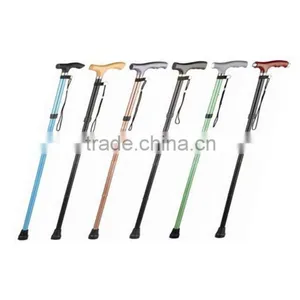Walking Stick thumbnail-1
