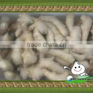Dry Ginger / China Dry Ginger thumbnail-1