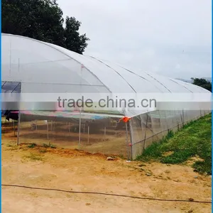 Film Cover Material and PE Material Small Greenhouse Wholesale thumbnail-6