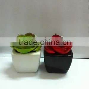 Bonsai Pots Wholesale thumbnail-1