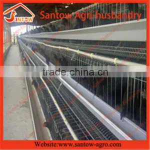 Chicken Use Welded Wire Chicken Layer Cages Types of Battery Cage System in Poultry thumbnail-5