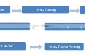 Lower Energy Consumption Factory Price Coated Peanut Processing Plant thumbnail-2