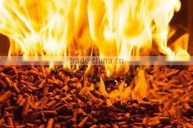 Hight Quality Wood Pellet thumbnail-2
