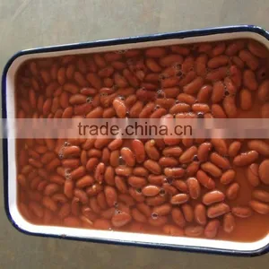 400/260 Canned Light/red Kidney Beans to Yemen thumbnail-1