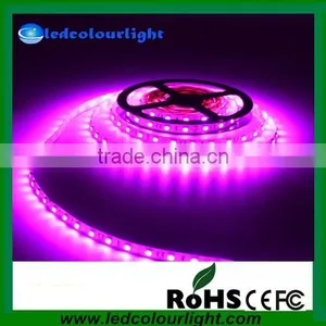 Wholesale Flexible 5v Smd 5050 Led Strip Magic Digital Rgb Led Strip Ws2812b Waterproof Led Strip Lights thumbnail-5