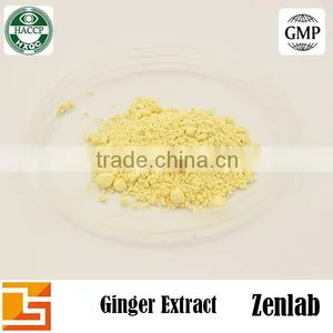 100% Natural High Quality Ginger Extract Gingerol Ginger Powder thumbnail-3