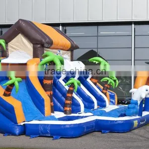 Boys and Girls Water Inflatable Pool Slide, Low Price Inflatable Waterslide on Sale thumbnail-2