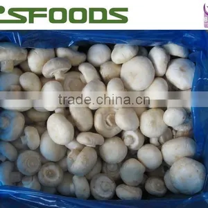 Frozen IQF White Button Mushroom 2014 NEW CROP thumbnail-4