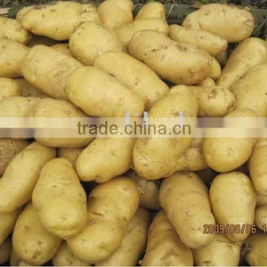 Fresh Potato 2016c Rop thumbnail-1
