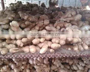 Qingdao W.R.Y Industry Trading Co., Ltd. company overview - view 2 thumbnail