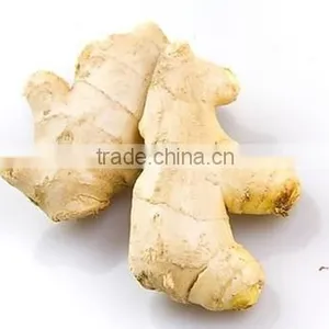 2016 Competitive Price Mesh Bag Ginger thumbnail-3