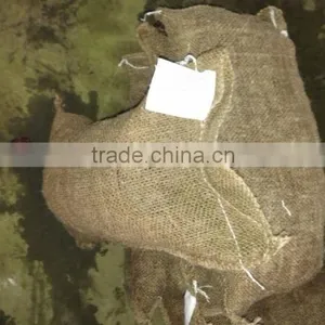 Fresh Chinese Chestnut thumbnail-1