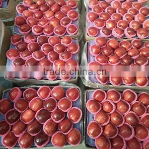 Chinese Fresh Apple Fresh Apple Fruit for Sale thumbnail-3