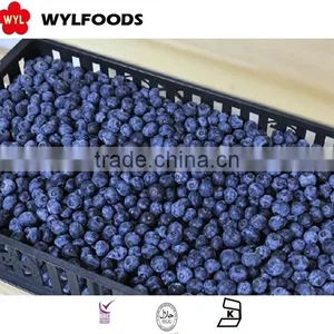 IQF Frozen Blueberry Wild thumbnail-5
