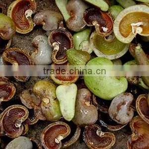 SUPPLY CASHEW NUT SHELL OIL thumbnail-2