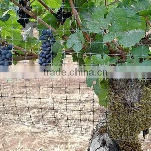 Bird Netting for Sale Agricultural Bird Netting thumbnail-1