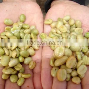 Hand Operated Coffee Pulper thumbnail-6