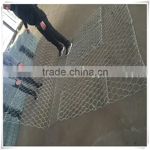2017 Qiangyu Hot Sale Galvanized and PVC Coated Gabion Wire Mesh Box thumbnail-6
