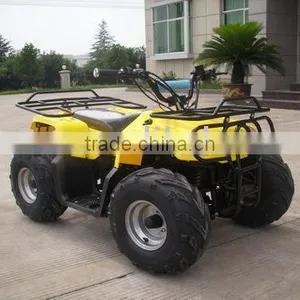 1000w Electric Atv thumbnail-1