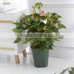 High Impact Plastic Flower Pot thumbnail-6