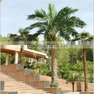 SJ20170004 Hot Sale Outdoor Decorative Fake Fiberglass Washington Palm Tree Waterproof thumbnail-1
