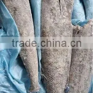 Frozen Oil Fish Rough Skin thumbnail-1