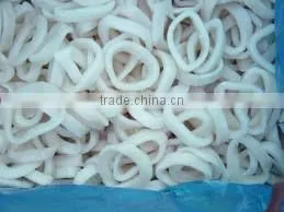 Frozen Squid thumbnail-1