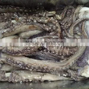 Frozen Giant Squid Tentacle thumbnail-2