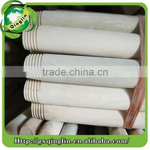 Eucalyptus Broomstick thumbnail-6