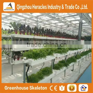 Agricultural Greenhouses For Soilless Hydroponics / Nft Systems For Tropical And Desert Areas thumbnail-5