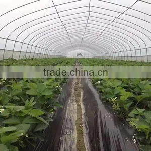 Plastic Film High Tunnel Greenhouse Roll Up Motor for Ventilation thumbnail-1
