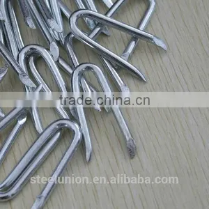 Fence Staples U Nails(factory) thumbnail-1