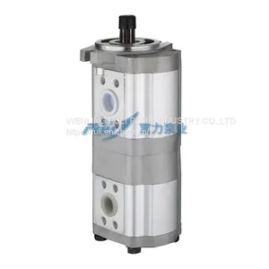 Double Gear Pump Constant Flow Pump Hydraulic Gear Pump for Ferguson Tractor Pump 2CBTF-F425F410X thumbnail-1