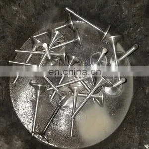 Intake 14711-PCB-000 and Exhaust 14721-PCB-000 Engine Valve For Honda F20B Custom Design Car Spare Parts thumbnail-5