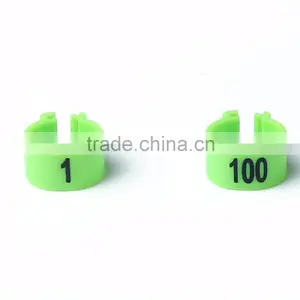 Economy Clip Band Pigeon Ring thumbnail-1