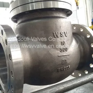 Duplex Check Valves thumbnail-1