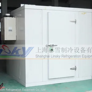 Cold Room Cold Storage thumbnail-3