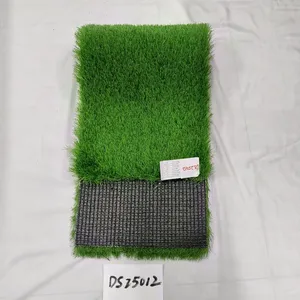 Artificial Turf DS25012 thumbnail-1