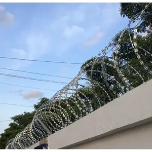 Galvanized Razor Wire With 3mm Blade Thickness for Perimeter Security thumbnail-1