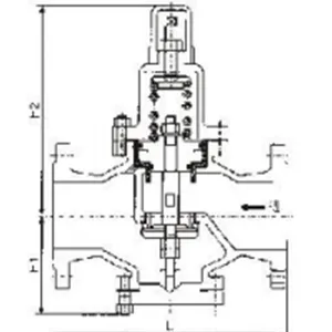 Self-operated Pressure Regulating Valve thumbnail-3