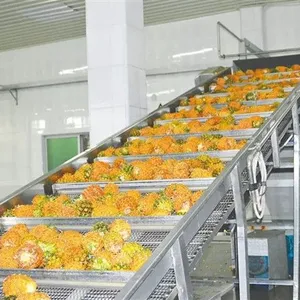 Fully Automatic Canned Pineapple Processing Plant thumbnail-6
