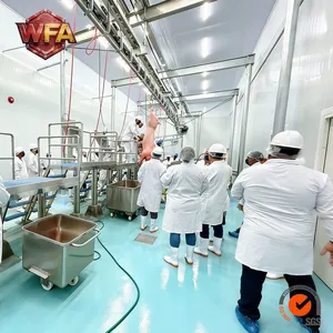 Industrial Pig Slaughterhouse Equipment Automatic Hog Slaughtering Line Pork Processing Machinery Manufacturer thumbnail-3