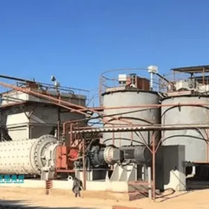 Gold Cip Plant South America Supplier
