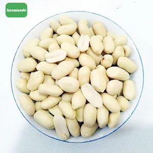 Bulk Blanched Peanut Kernels 25/29 for Snack Roasting thumbnail-2