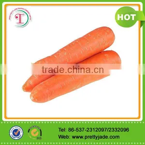 2014 Good Fresh Carrot thumbnail-1