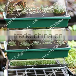 Hydroponic Trays thumbnail-6