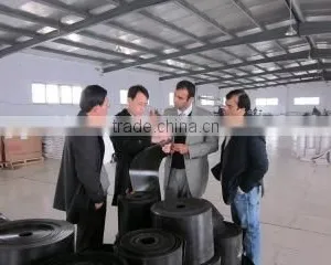 Qingdao TSD Plastic Co., Ltd. company overview - view 2 thumbnail
