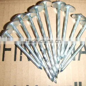 Roofing Nail thumbnail-1