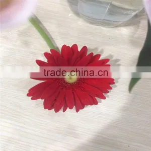 Wholesale Fresh Cut Flower China Gerbera For Decoration High Quality thumbnail-1